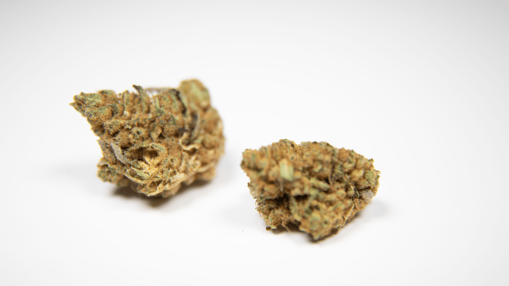 A Beginner’s Guide to Cannabis Tinctures